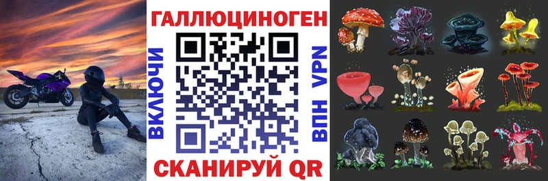 продажа наркотиков  Бородино  Псилоцибиновые грибы Psilocybine cubensis 